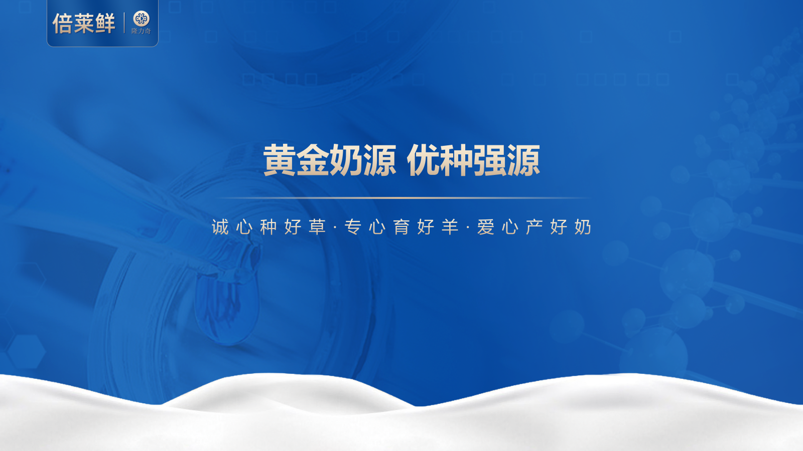 倍莱鲜 白芸豆提取物乳酸菌羊乳粉运动营养食品（耐力类）2025_13.png