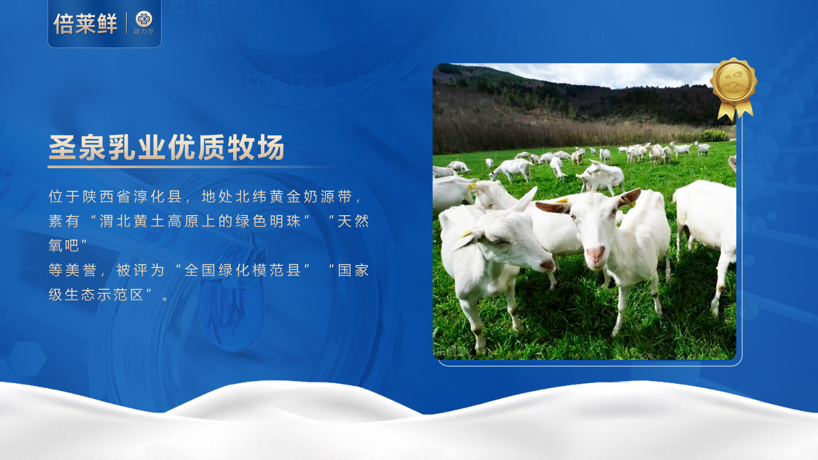 倍莱鲜 白芸豆提取物乳酸菌羊乳粉运动营养食品（耐力类）2025_14.png