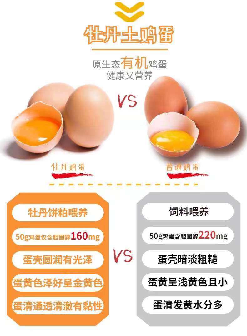 鸡蛋营养成分表100g