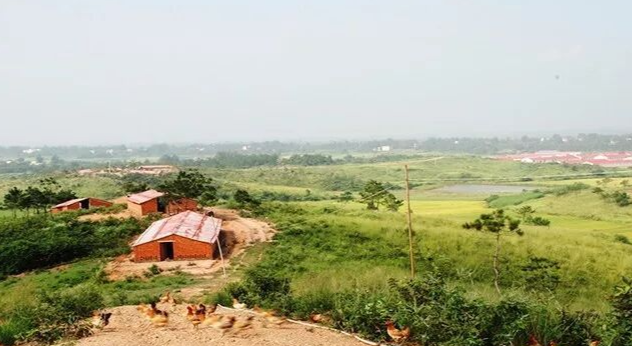 丹东山水间的养殖场