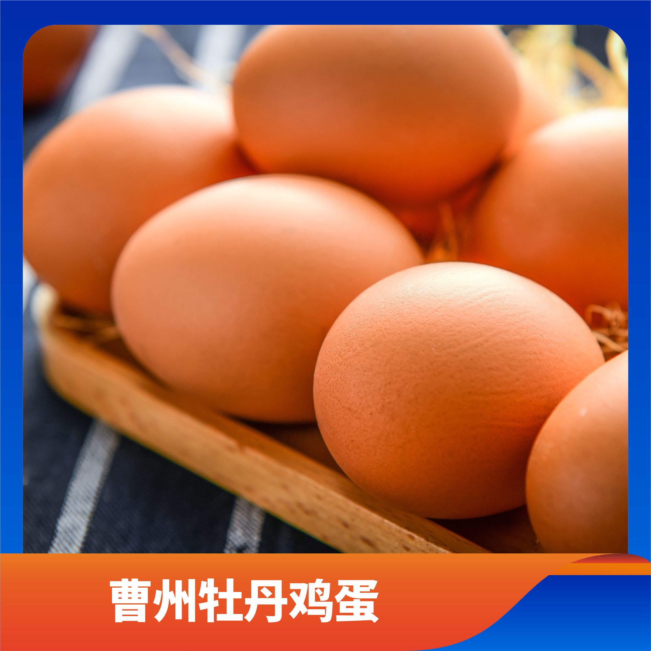 曹州牡丹鸡蛋/预售订购单