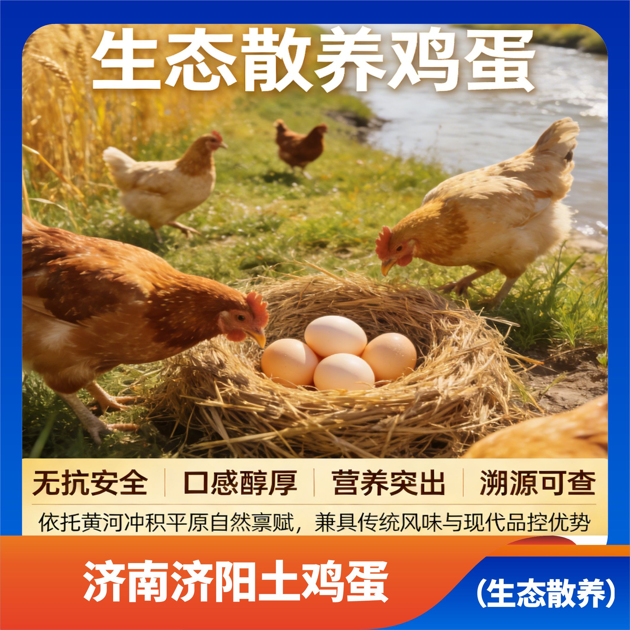 济南济阳土鸡蛋/轻型冷链车