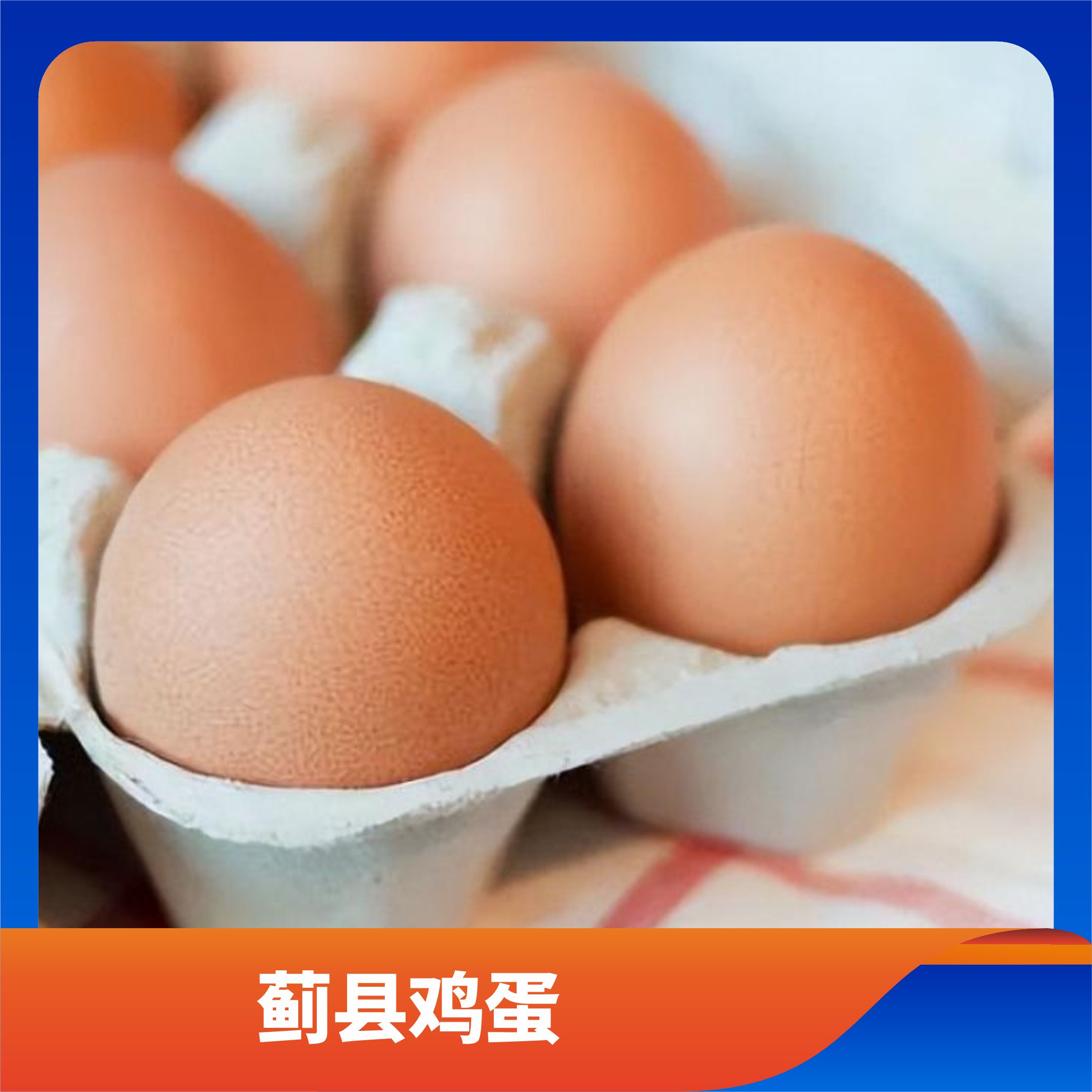 蓟县鸡蛋/预售订购单