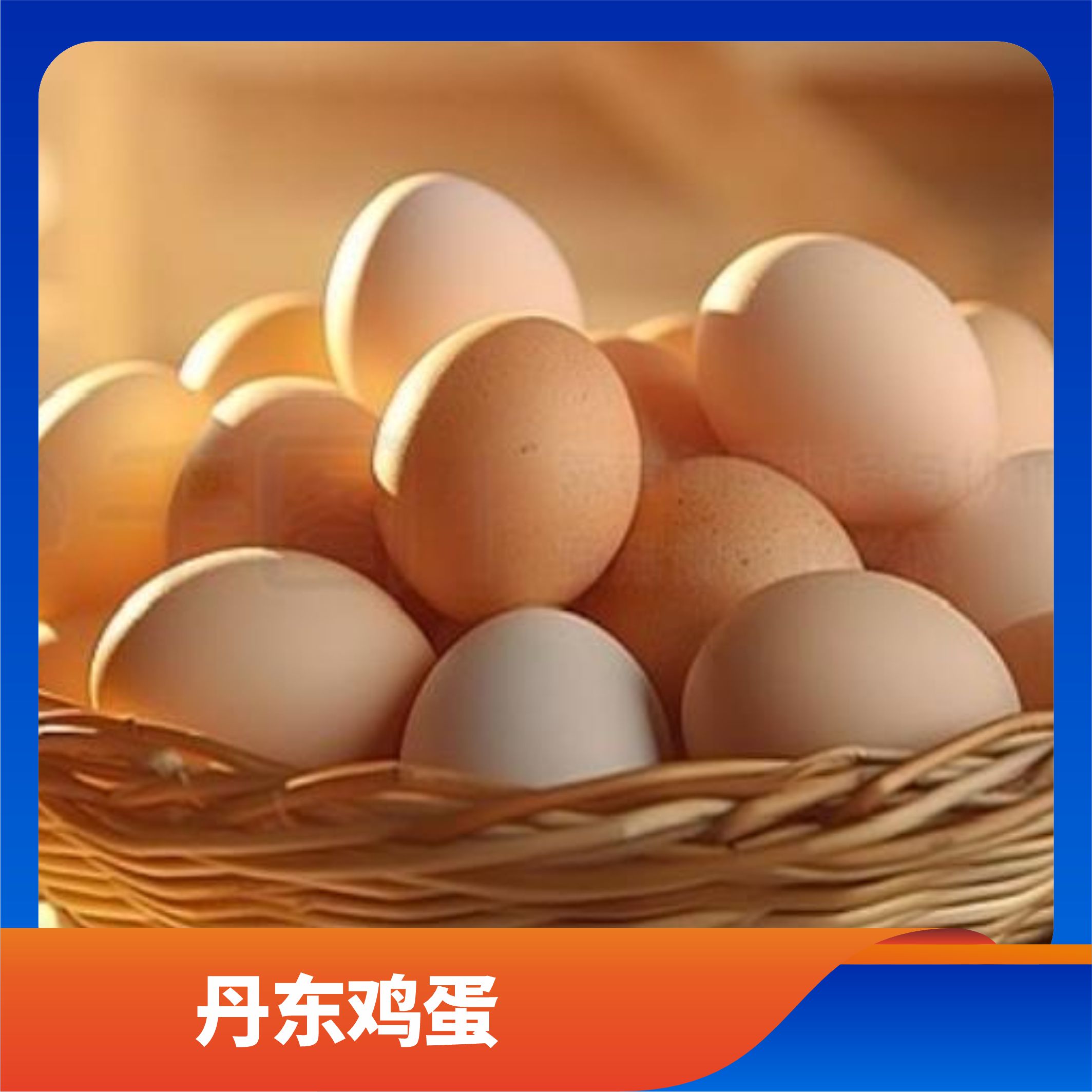 丹东鸡蛋/预售订购单