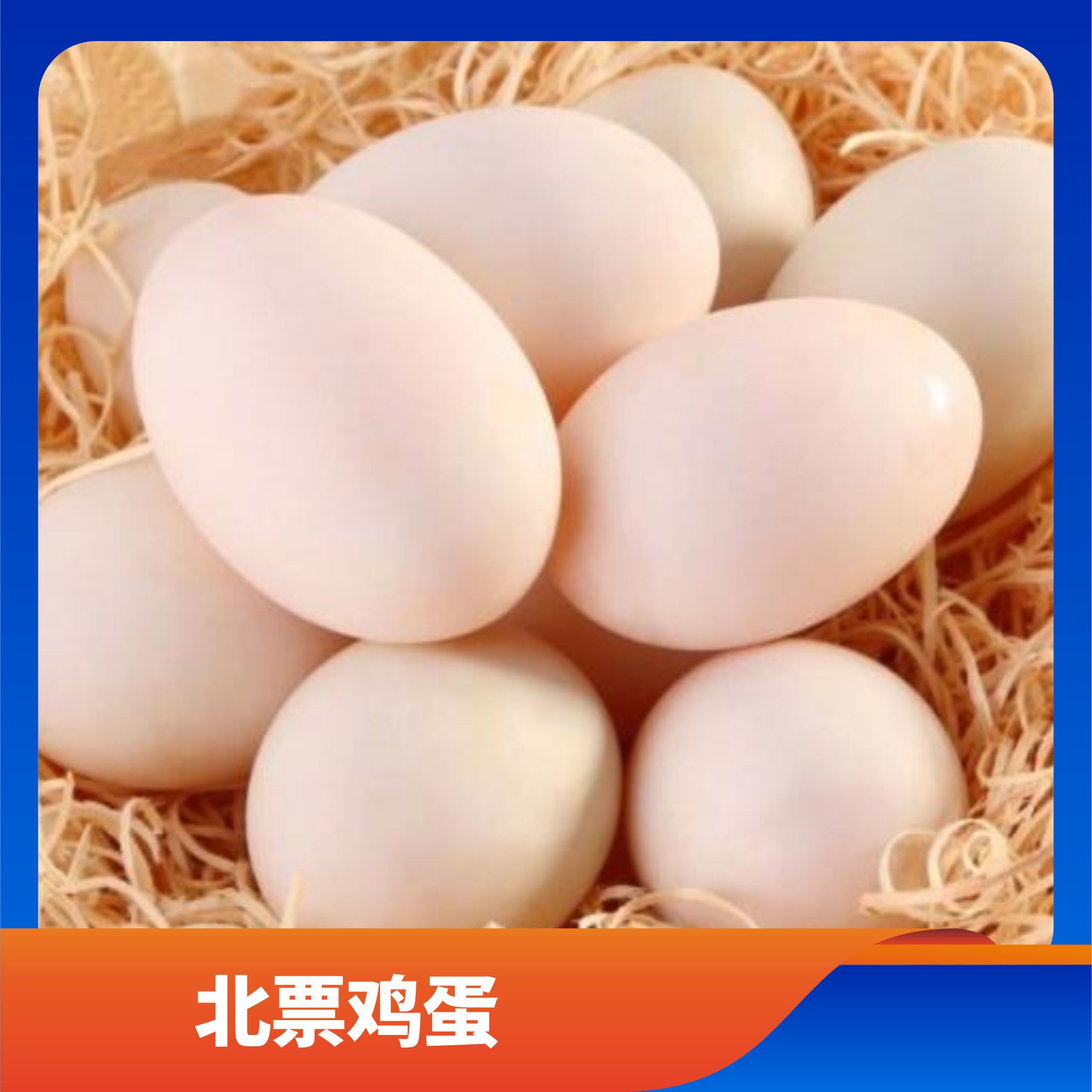 北票鸡蛋/预售订购单