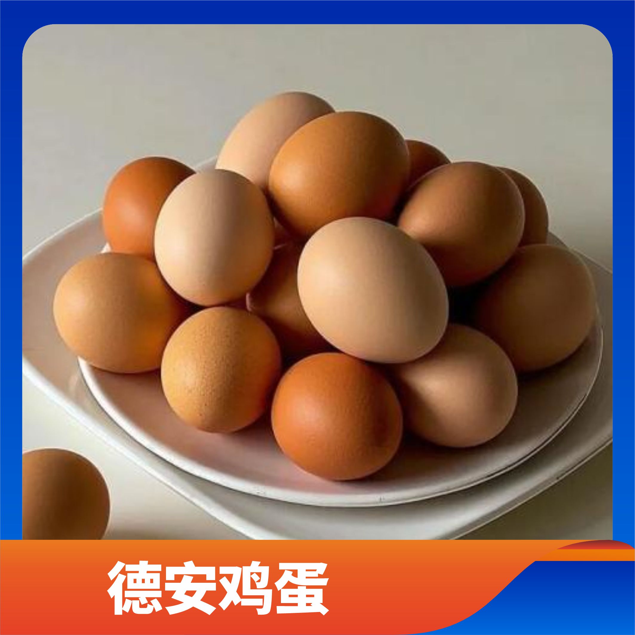 德安鸡蛋/预售订购单