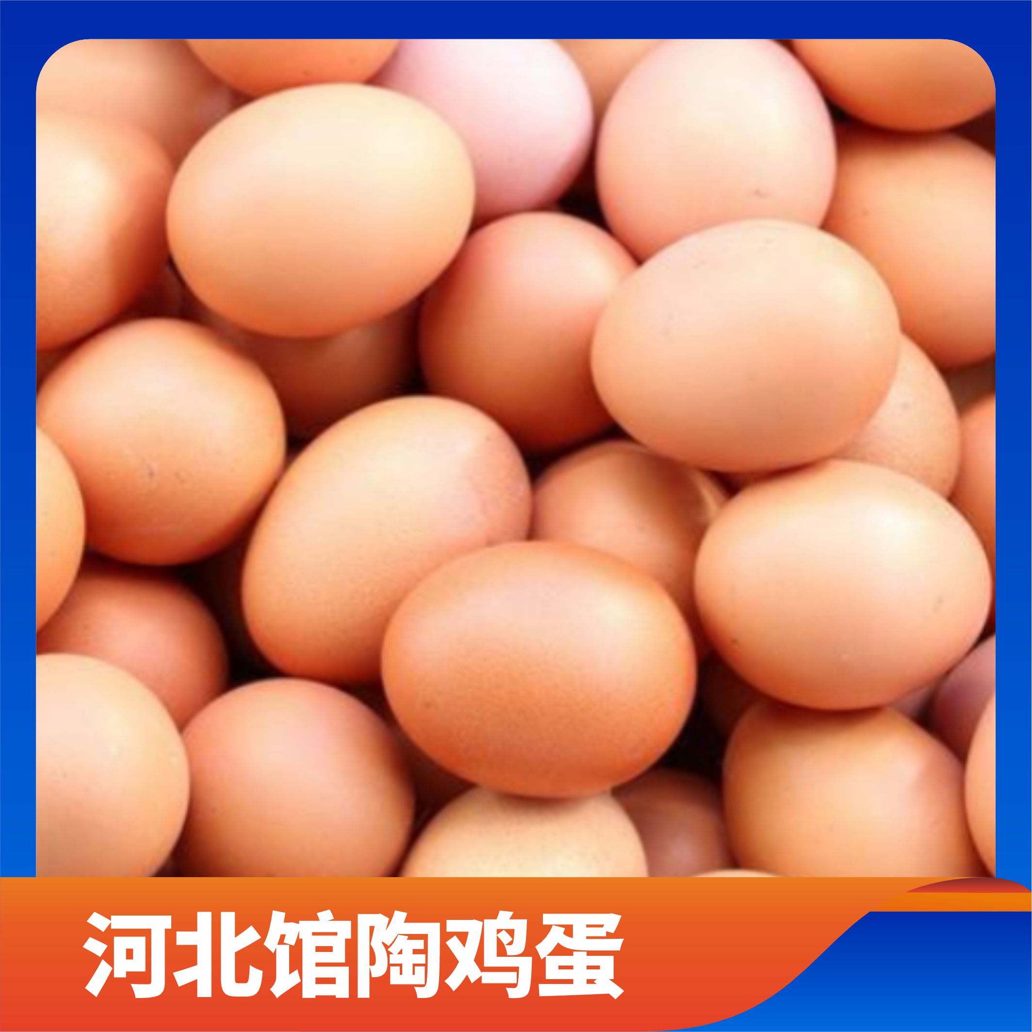 河北馆陶鸡蛋