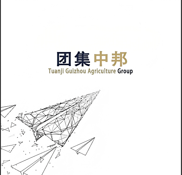 滨州金丝蛋养殖基地介绍