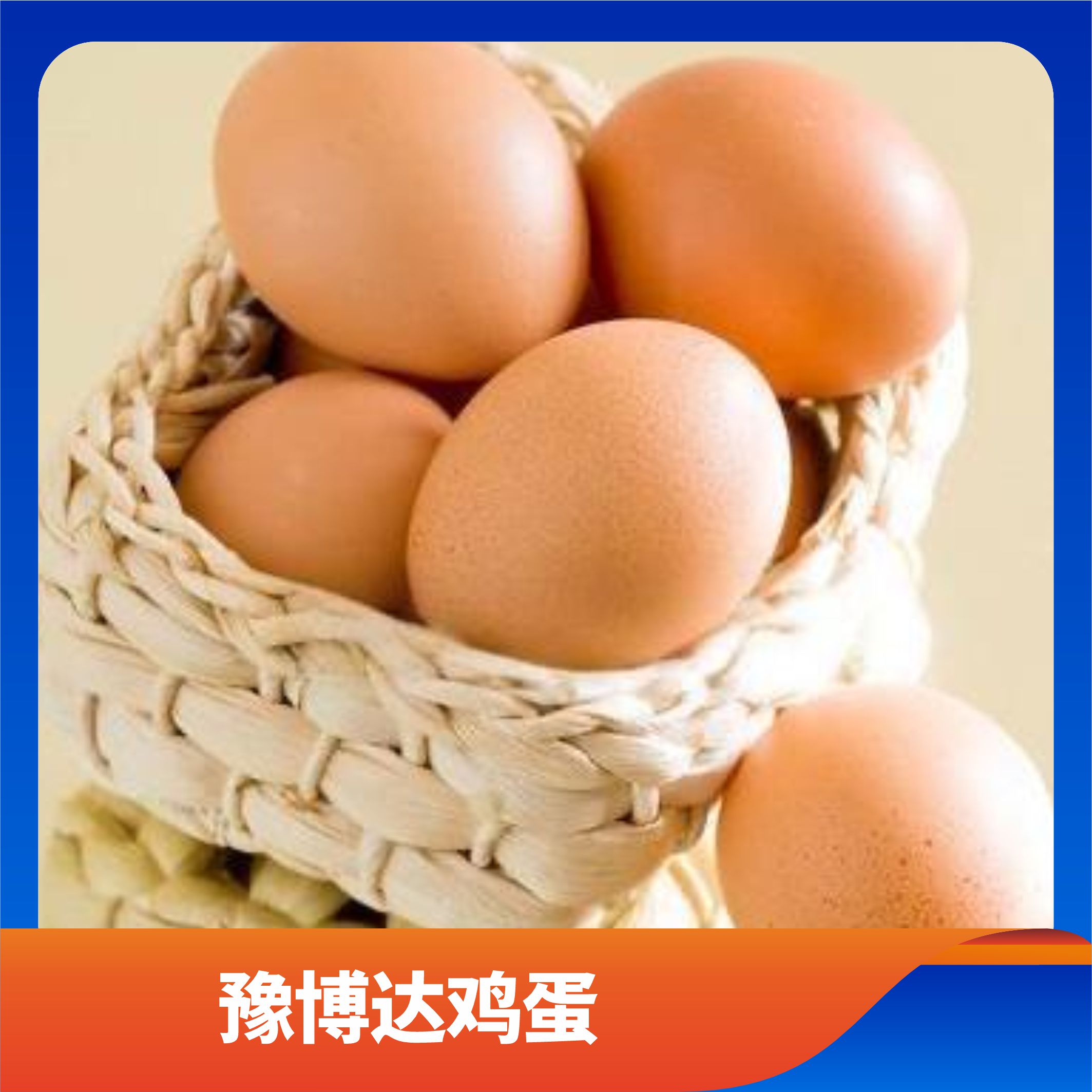 豫博达鸡蛋/预售订购单