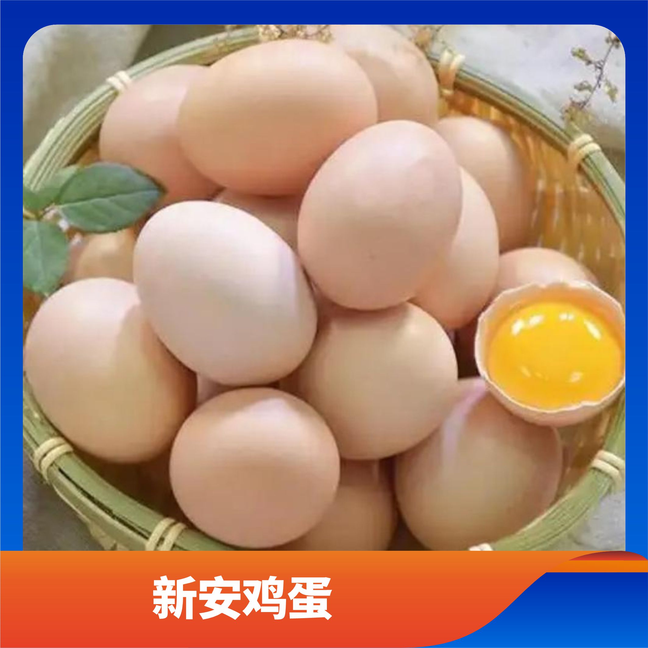 新安鸡蛋/预售订购单
