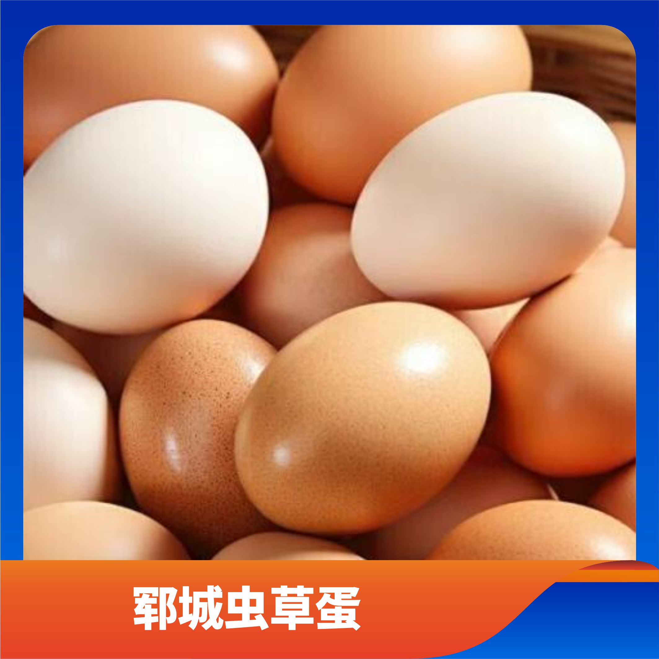 郓城虫草蛋/预售订购单