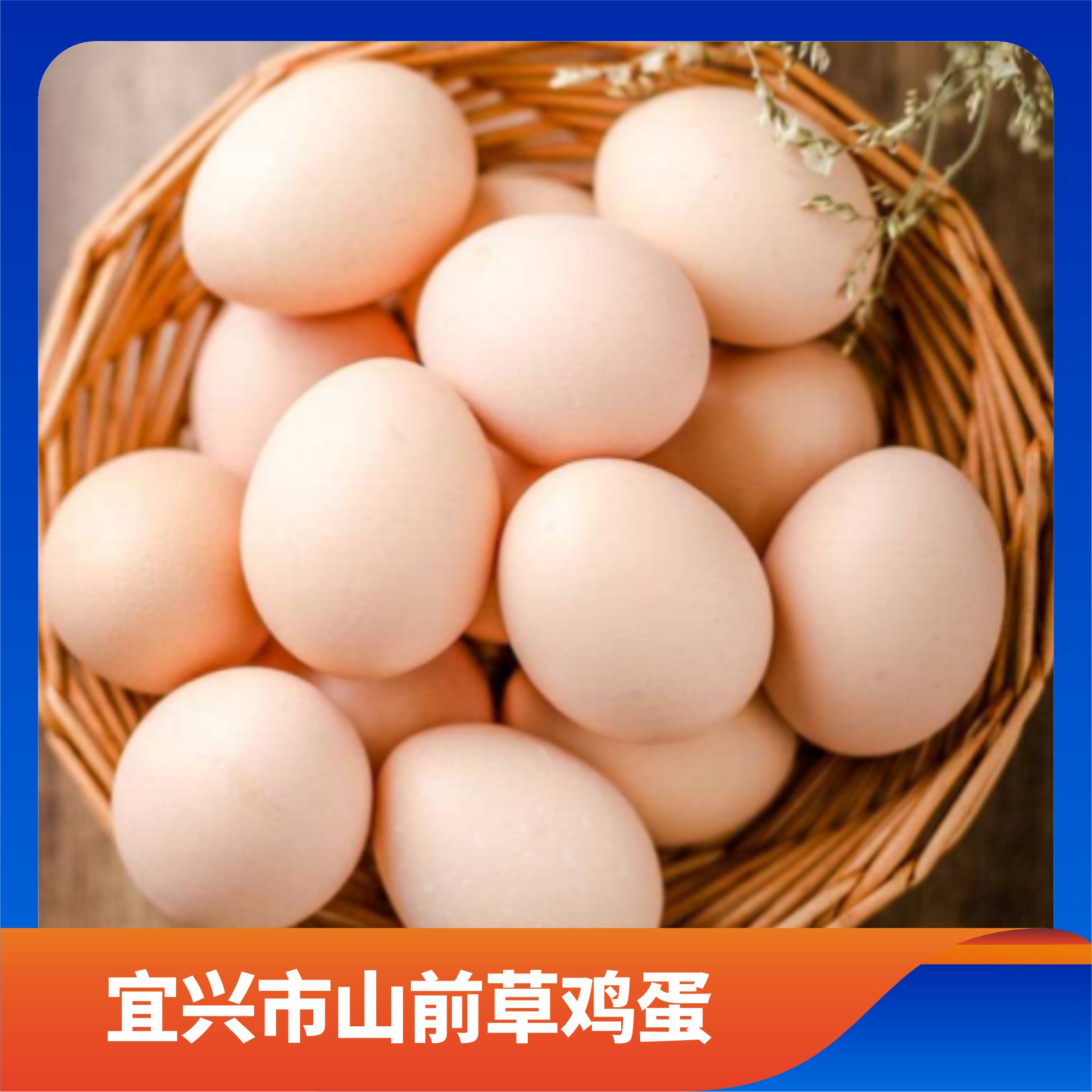 宜兴市山前草鸡蛋/预售订购单