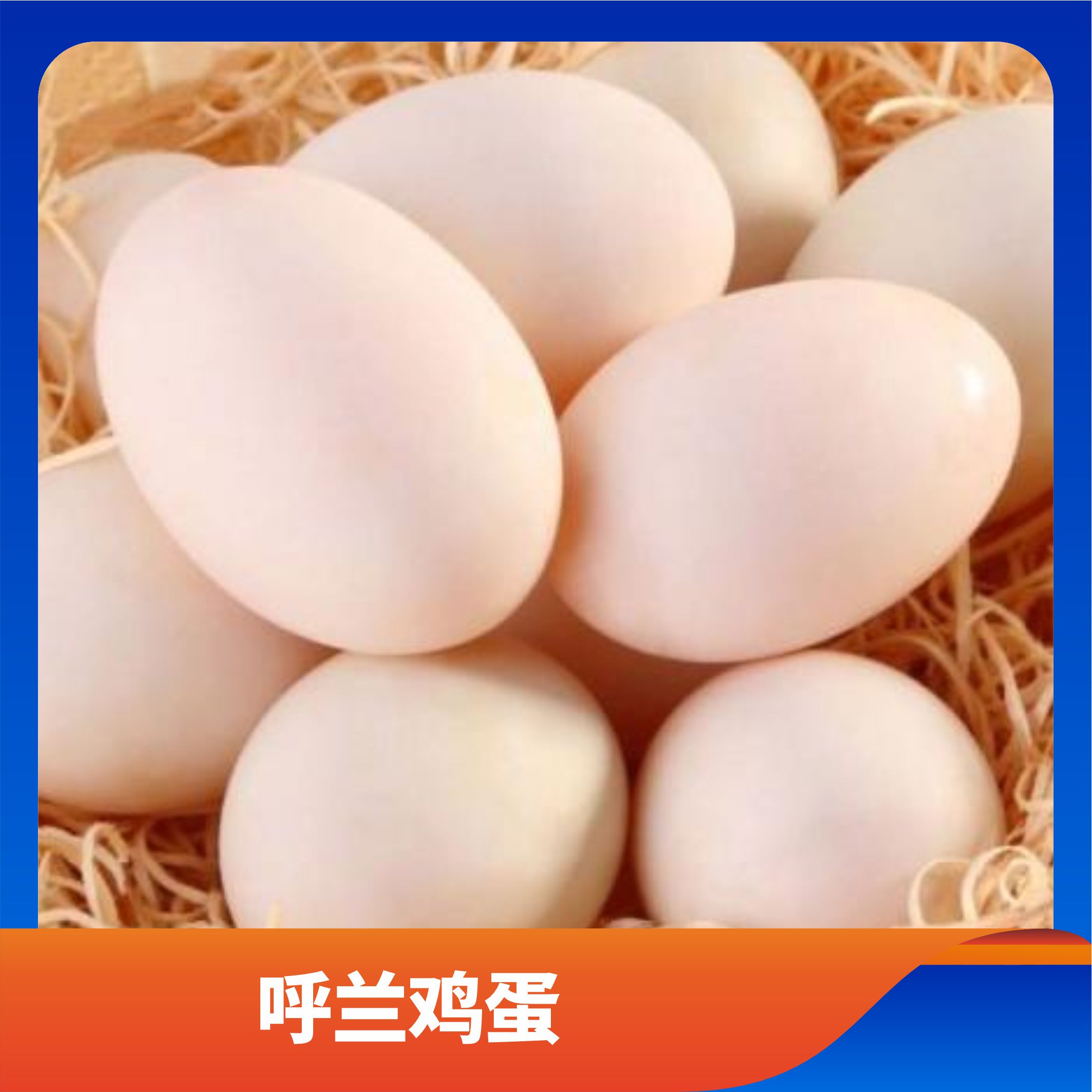 呼兰鸡蛋/预售订购单