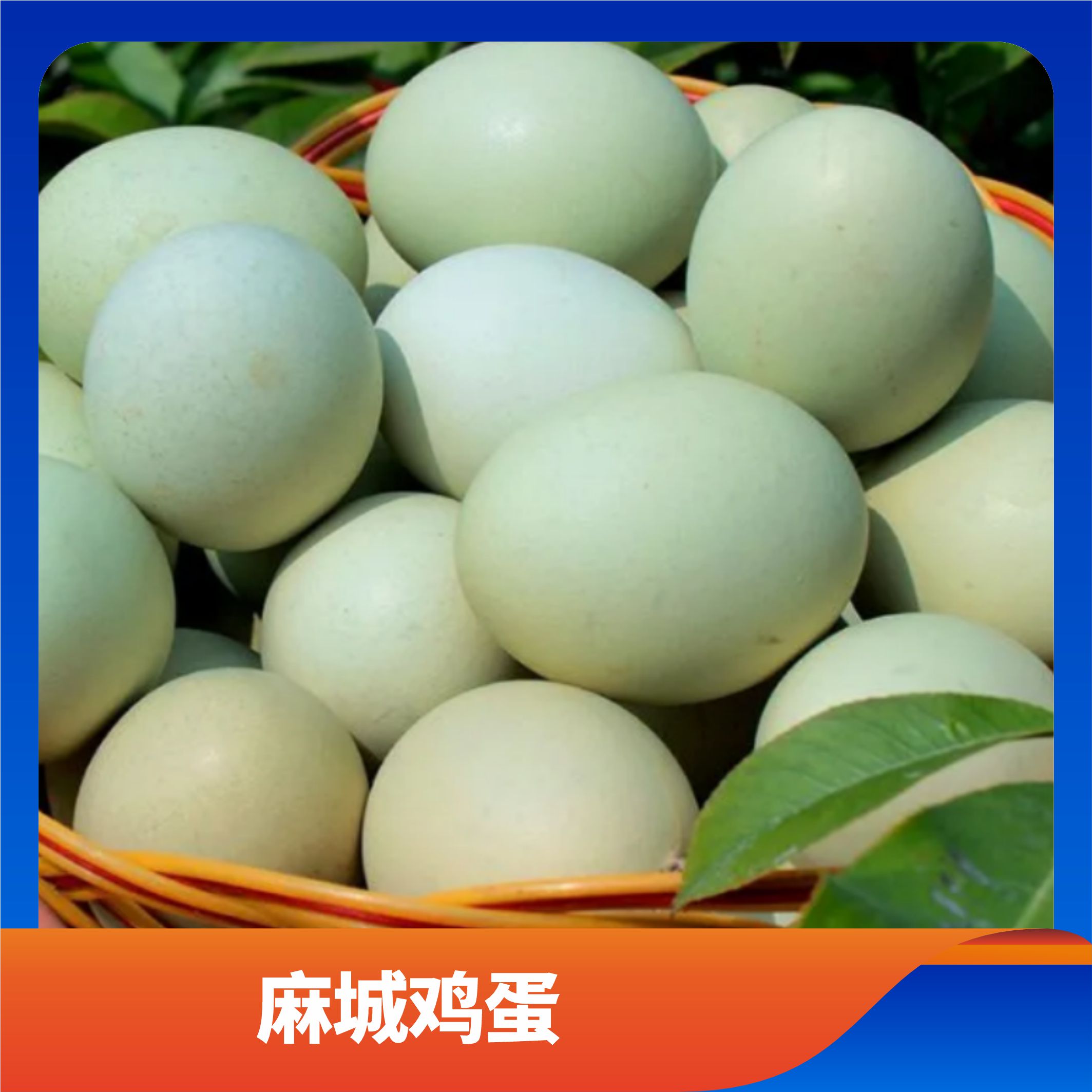 麻城鸡蛋/预售订购单